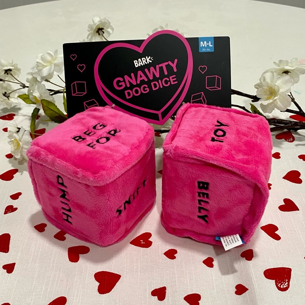NWT Bark Box Gnawty Dog Dice Dog Toy - Valentine’s Day Dog Toy Squeaky 🎲 💕